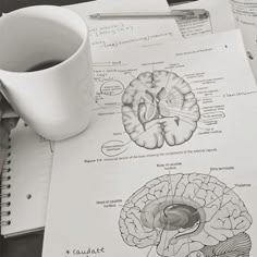 a cup of coffee sitting on top of a table next to papers with drawings and diagrams