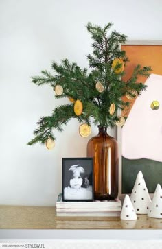 a vase filled with pine branches next to two small white cones and a framed photograph