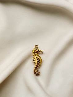 Enhance your charm collection with our stunning Golden Seahorse Charm! This elegant charm features a beautiful gold seahorse, symbolizing strength and grace. Made of durable stainless steel, it will be a timeless addition to your jewelry collection. Perfect for any ocean lover or anyone seeking a touch of seaside beauty. Find our compatible chain necklaces here. Hypoallergenic (Lead and nickel free) Material: Stainless SteelSize: 22 mm, 2.5cm x 0.5cm Seahorse Jewelry, Charm Collection, Clip On Charms, Ocean Lover, Chain Necklaces, Earring Necklace, Chain Bracelet, Chains Necklace, Necklaces Bracelets