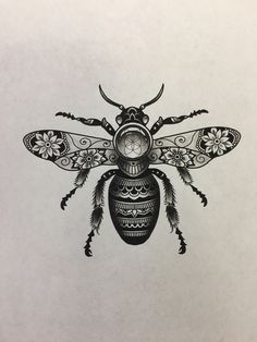 a black and white drawing of a bug with intricate designs on it's wings