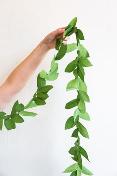 a person holding up some green leaves on a white wall with one hand in the air