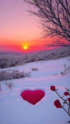 a heart - shaped object is in the snow near some trees and bushes at sunset