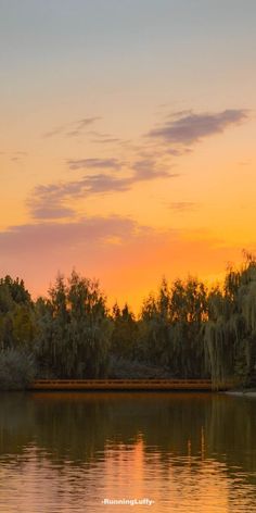 the sun is setting over some trees and water