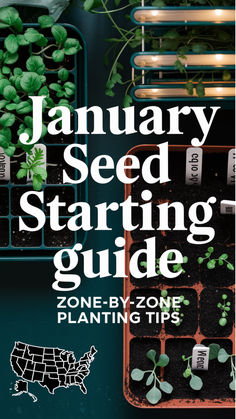 the january seed starting guide is shown in front of several trays filled with plants