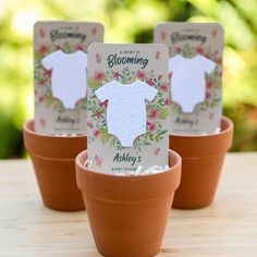 three flower pots with baby ones in them