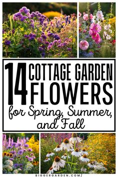 Want a cottage garden that flourishes year-round? This seasonal guide covers 14 stunning flowers to plant in spring, summer, and fall. Find out which flowers thrive during each season and how to create a garden full of vibrant, seasonal beauty. Classic Cottage, Garden Pest Control, Spring Breeze, Beautiful Cottages, Charming Garden, Seasonal Garden, How To Grow Taller, Garden Borders, Garden Pests