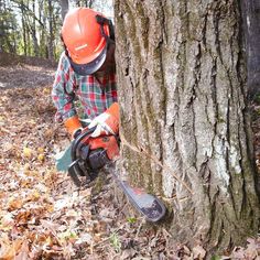 a man in an orange helmet and safety gear is holding a chainsaw next to a tree