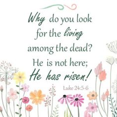 a bible verse with flowers and the words, why do you look for the living among the dead? he is not here he has risen