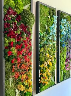 the wall is filled with different types of flowers and plants on it's sides