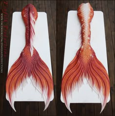 two pictures of fish tails with red and white streaks on them, one is shaped like a tail