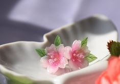 two pink flowers are in a white bowl