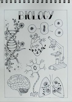 a book with drawings on it that says biology