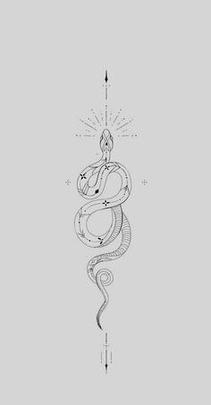 a line drawing of a snake with an arrow on it's head and tail