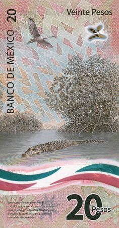 an image of a 20 euros bill with birds flying over the water and trees in the background