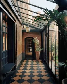 the hallway is lined with potted plants and glass doors that lead to another room