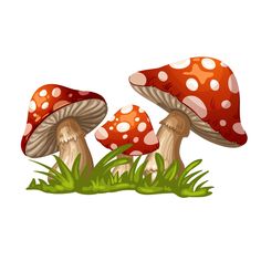 two mushrooms in the grass on a white background