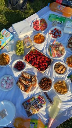 an assortment of snacks are laid out on a picnic blanket in the grass, ready to be eaten