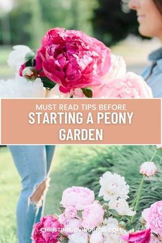 the words must read before starting a peony garden are shown in pink and white flowers