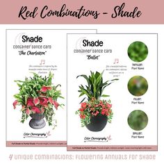 three different types of flowers in vases with text that reads red combinations - shade