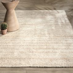 a small cactus sits on top of a rug