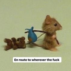 a small toy mouse with three smaller stuffed animals in front of it and the caption reads, en route to wherever the fock