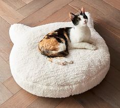 a calico cat is sitting on top of a round pet bed in the floor