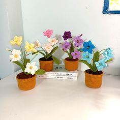 three potted plants are sitting on top of a book and some flowers have been placed in them