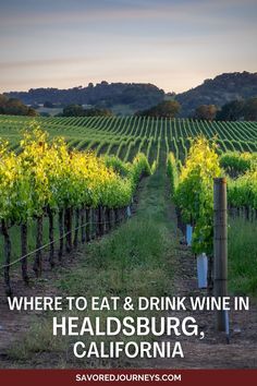 a vineyard with the words where to eat and drink wine in healdsburg, california