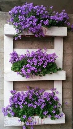 purple flowers are growing on the side of a wall with two wooden crates holding them