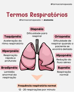 the lungs are labeled in spanish, and there is also an info sheet to help you know