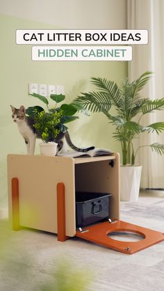 cat litter box ideas hidden cabinet