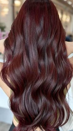 Best Colour For Black Hair, Auburn Hair On Black Hair, Hair Colour For Dark Brown Hair, Light Brown Cherry Hair Color, Black Cherry Brown Hair, Dark Brown With Cherry Highlights, Cherry Brown Balayage On Black Hair, Long Hair Colour Ideas Color Trends, Hair Colour Ideas Dark Brown