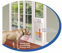 a dog standing in front of a door with an electronic device on it's side