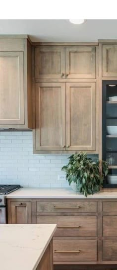 a kitchen with wooden cabinets and white tile backsplash, potted plant on the counter