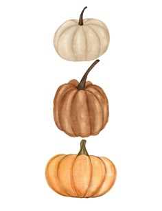 three pumpkins sitting on top of each other