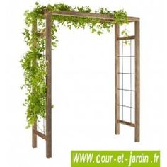 an outdoor wooden arbor with vines growing on the top and bottom part, in front of a white background