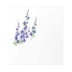 three purple flowers on a white background