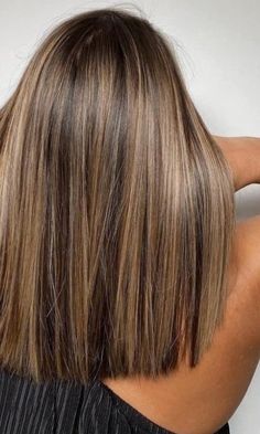 Brown Hair With Blonde Highlights, Brown Blonde Hair, Hair Color Balayage, Light Hair, Brown Hair Colors