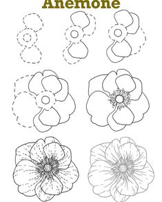 anemone flower is shown in black and white with the words, how to draw an