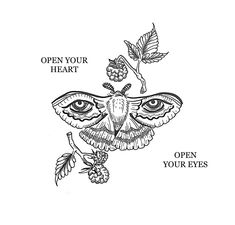 the cover art for open your heart's album, with an image of a moth on