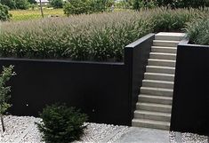 there is a black wall and some plants in the back yard with steps leading up to it