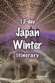 two monkeys sitting on top of rocks with the words japan winter itinerary over them