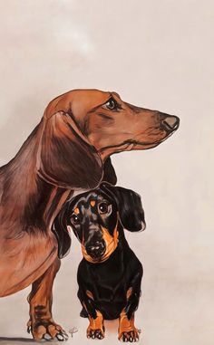 two dachshunds are standing next to each other