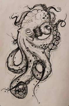 an ink drawing of an octopus on paper