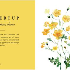 an illustration of yellow flowers on a white background with the words watercup written below