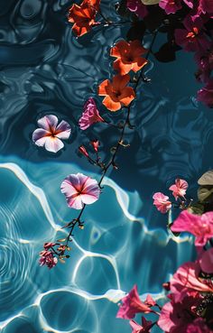 some pink and orange flowers are floating in the water