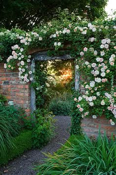 an open door to a garden with roses growing on it