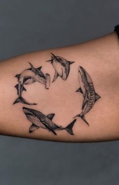 a circle of dolphins tattoo on the arm