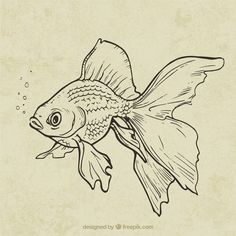 a black and white drawing of a goldfish