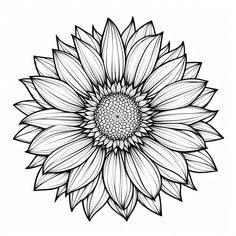 a black and white drawing of a sunflower